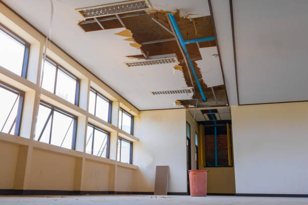 Best 24/7 water damage repair  in Alondra Park, CA
