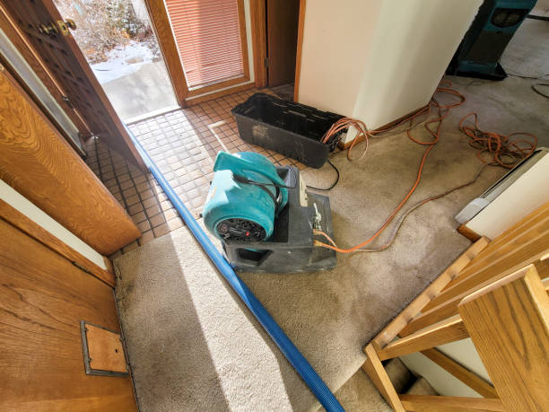 Best Sewage cleanup and water damage restoration  in Alondra Park, CA