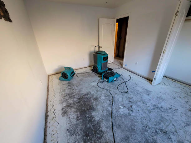 Water damage restoration process in Alondra Park, CA
