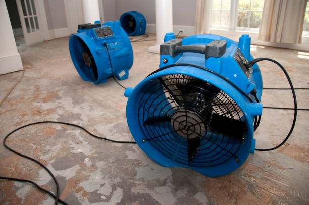 Best Water damage cleanup near me  in Alondra Park, CA