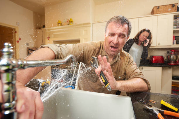 Best Fire Damage Restoration  in Alondra Park, CA